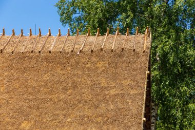 Kashubian Etnoğrafya Parkı 'ndaki açık hava müzesindeki kulübe. Wdzydze Kiszewskie.