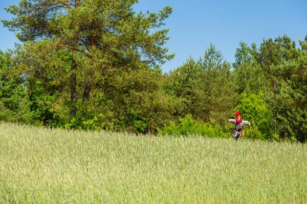 Wdzydze 'deki Kashubian Etnoğrafya Parkı' ndan korkuluk. Arka planda ağaçlar var. Wdzydze Kiszewskie, Polonya.