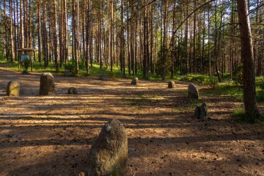 Wesiory, Polonya - 31 Mayıs 2018: Wesiory köyü yakınlarında bir mezarlık, taş çemberler ve mezar tümsekleri var. Gömme Gövdelerinin Yeri.