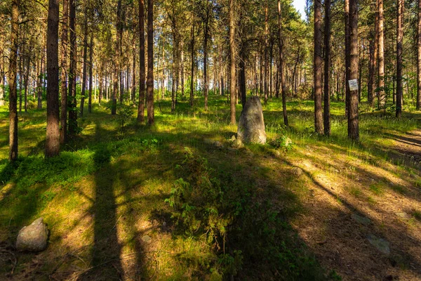 Wesiory Polska Maja 2018 Cmentarzu Koło Wsi Wesiory Znajdują Się — Zdjęcie stockowe