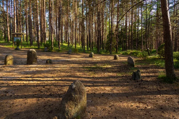Wesiory, Polonya - 31 Mayıs 2018: Wesiory köyü yakınlarında bir mezarlık, taş çemberler ve mezar tümsekleri var. Gömme Gövdelerinin Yeri.