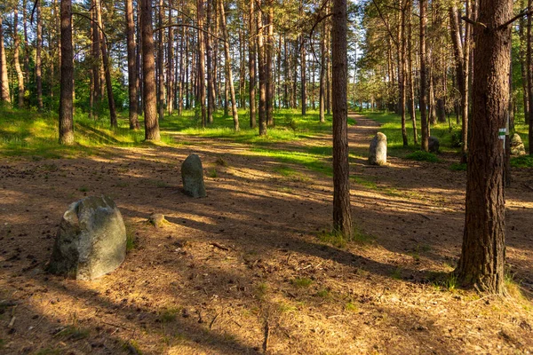 Wesiory köyü yakınlarında bir mezarlık, taş çemberler ve mezar tepecikleri var. Gömülü Gotların yeri. Polonya.