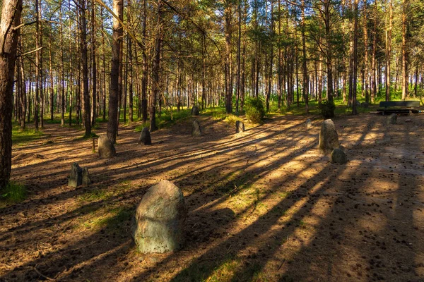 Cmentarzu Pobliżu Wsi Wesiory Znajdują Się Kamienne Kręgi Kopce Miejsce — Zdjęcie stockowe