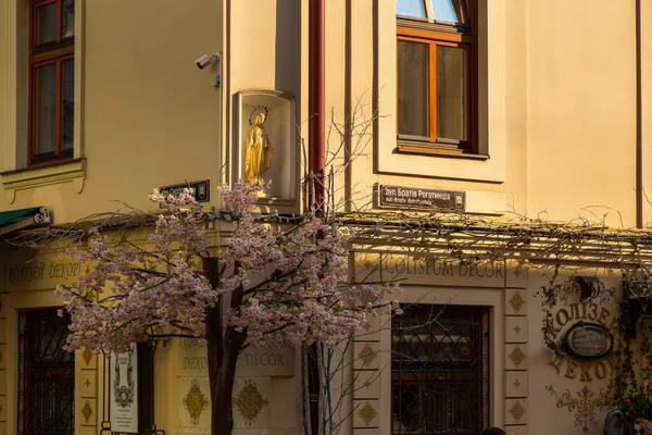 Lviv Ucrânia Junho 2018 Edifícios Tradicionais Uma Rua Paralelepípedos Histórica — Fotografia de Stock