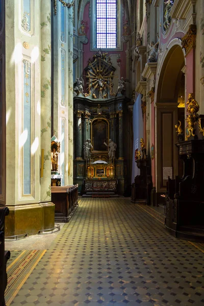 Lviv Ucrania Junio 2018 Interior Catedral Latina Catedral Basílica Asunción — Foto de Stock