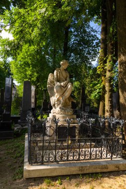 Lviv, Ukrayna - 09 Haziran 2018: Lychakiv Mezarlığı, Devlet Tarihi ve Kültür Müzesi Koruma Alanı, Lviv 'deki tarihi mezarlık.