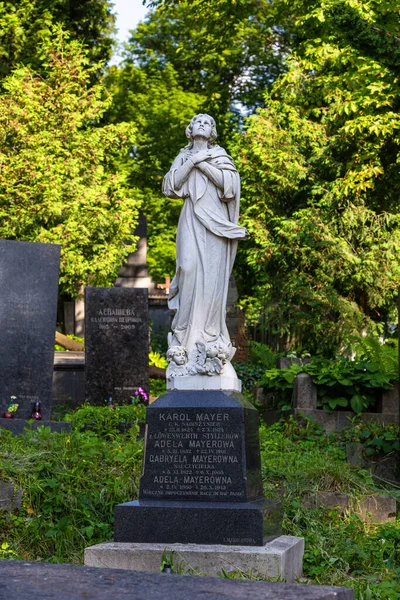 Lviv Ucraina Giugno 2018 Cimitero Lychakiv Museo Storia Cultura Stato — Foto Stock