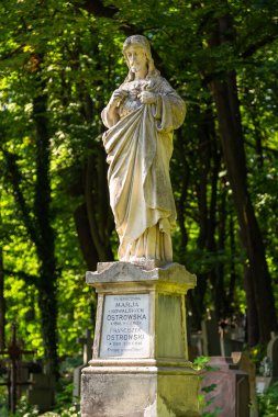 Lviv, Ukrayna - 09 Haziran 2018: Lychakiv Mezarlığı, Devlet Tarihi ve Kültür Müzesi Koruma Alanı, Lviv 'deki tarihi mezarlık.