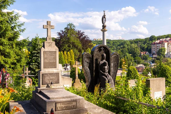 Lviv Ukrayna Haziran 2018 Lychakiv Mezarlığı Devlet Tarihi Kültür Müzesi — Stok fotoğraf