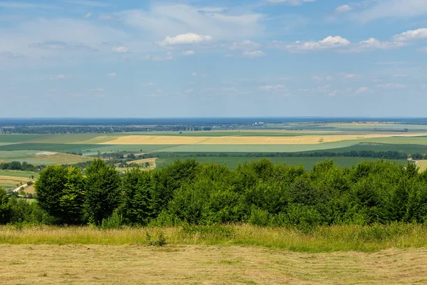 Woroniaki tepesinden, Ukrayna 'daki Pidhirtsi Kalesi' nin üzerine inşa edildiği Styr Nehri Vadisi manzarası..