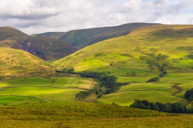 Dumfries ve Galloway 'deki yeşil tepelerin manzarası. Kırsal alan, Kuzey İngiltere.