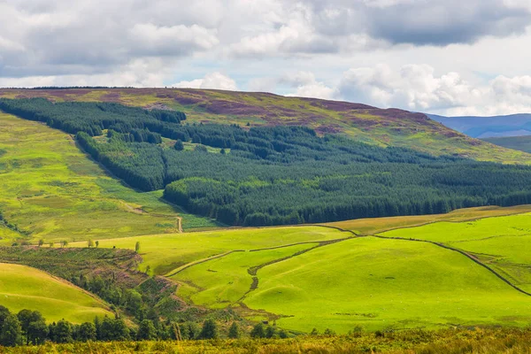 View Green Hills Dumfries Galloway Rural Landscape North — Fotografia de Stock