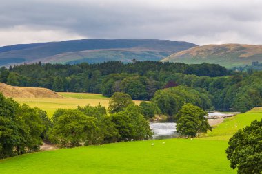 Güney Lakeland 'deki manzara, Ruskin View. Cumbria, İngiltere, İngiltere.