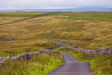 View of the green hills in Yorkshire Dales, Cumbria. Rural landscape, north UK.
