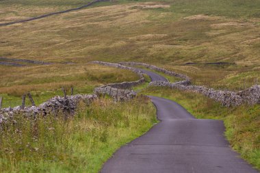 View of the green hills in Yorkshire Dales, Cumbria. Rural landscape, north UK.