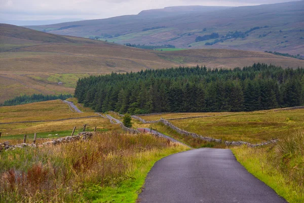 View Green Hills Yorkshire Dales Cumbria Rural Landscape North — Fotografia de Stock