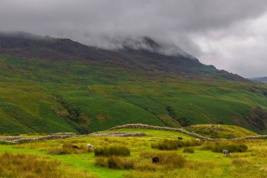 View of the Hardknott Roman Fort , archeological site, the remains of the Roman fort Mediobogdum. Lake District National Park, Cumbria, England.