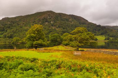 Rothay Vadisi 'ndeki Grasmere ve Ambleside arasında, İngiliz Gölü Bölgesi' nin orta kısmında bulunan Rydal Su Bölgesi 'nin manzarası. İngiltere.