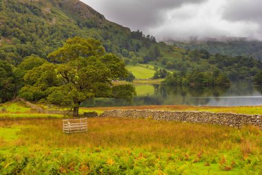 Rothay Vadisi 'ndeki Grasmere ve Ambleside arasında, İngiliz Gölü Bölgesi' nin orta kısmında bulunan Rydal Su Bölgesi 'nin manzarası. İngiltere.