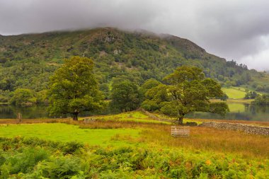 Rothay Vadisi 'ndeki Grasmere ve Ambleside arasında, İngiliz Gölü Bölgesi' nin orta kısmında bulunan Rydal Su Bölgesi 'nin manzarası. İngiltere.