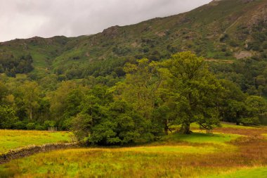 Rothay Vadisi 'ndeki Grasmere ve Ambleside arasında, İngiliz Gölü Bölgesi' nin orta kısmında bulunan Rydal Su Bölgesi 'nin manzarası. İngiltere.