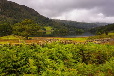 Rothay Vadisi 'ndeki Grasmere ve Ambleside arasında, İngiliz Gölü Bölgesi' nin orta kısmında bulunan Rydal Su Bölgesi 'nin manzarası. İngiltere.