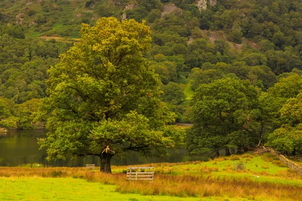 Vista Área Rydal Water Com Lago Parte Central Inglês Lake — Fotografia de Stock