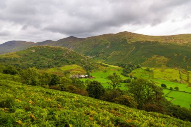 Cumbria, Lake District 'teki yeşil tepelerin manzarası. Kırsal alan, Kuzey İngiltere.