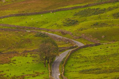 Cumbria, Lake District 'teki yeşil tepelerin manzarası. Kırsal alan, Kuzey İngiltere.