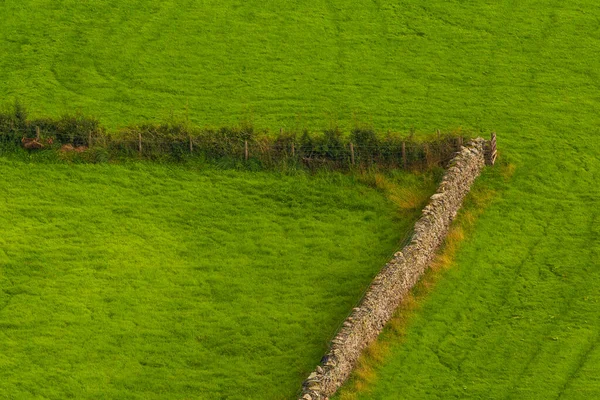 View Green Hills Lake District Cumbria Rural Landscape North — Stock Photo, Image