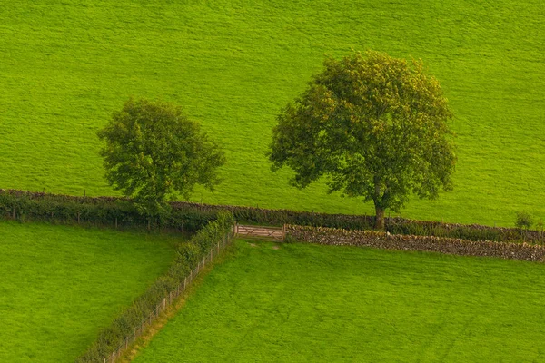Pohled Zelené Kopce Lake District Cumbria Venkovská Krajina Severní Velká — Stock fotografie