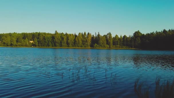 Petit Lac Entouré Par Forêt Bieszkowice Pologne — Video