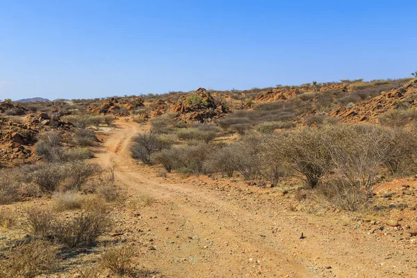 Paesaggio Namibiano Lungo Strada Sterrata Terra Rossa Vegetazione Africana Intorno — Foto Stock