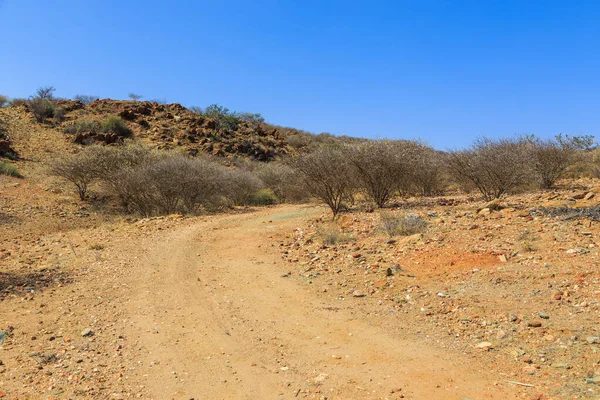 Paesaggio Namibiano Lungo Strada Sterrata Terra Rossa Vegetazione Africana Intorno — Foto Stock