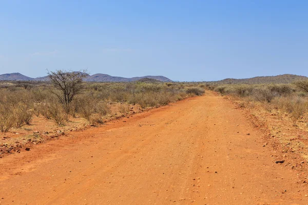 Paysage Namibien Long Route Gravier Sol Rouge Végétation Africaine Autour — Photo