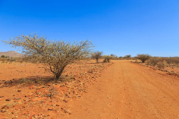 Paysage Namibien Long Route Gravier Sol Rouge Végétation Africaine Autour — Photo
