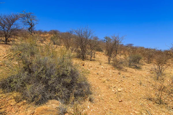 Paesaggio Namibiano Savana Africana Durante Una Giornata Calda Oanob Namibia — Foto Stock