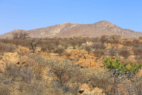 Paisagem Namibiana Savana Africana Durante Dia Quente Oanob Namíbia — Fotografia de Stock