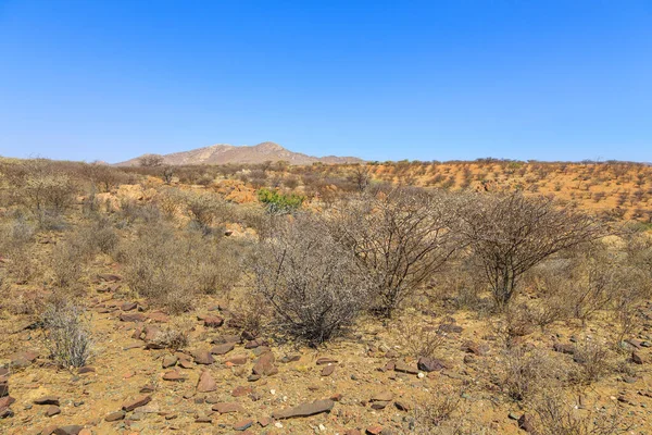 Paisagem Namibiana Savana Africana Durante Dia Quente Oanob Namíbia — Fotografia de Stock