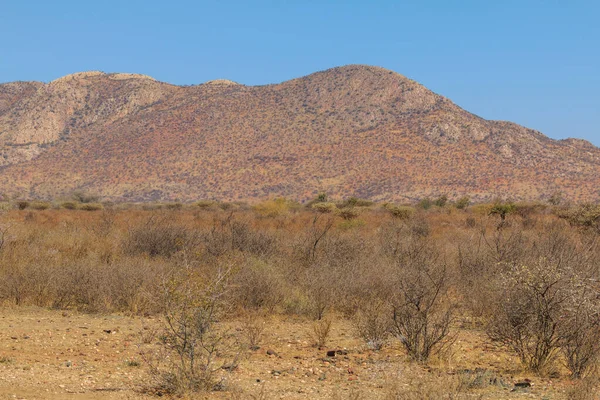 Paysage Namibien Savane Africaine Pendant Une Journée Chaude Terre Rouge — Photo