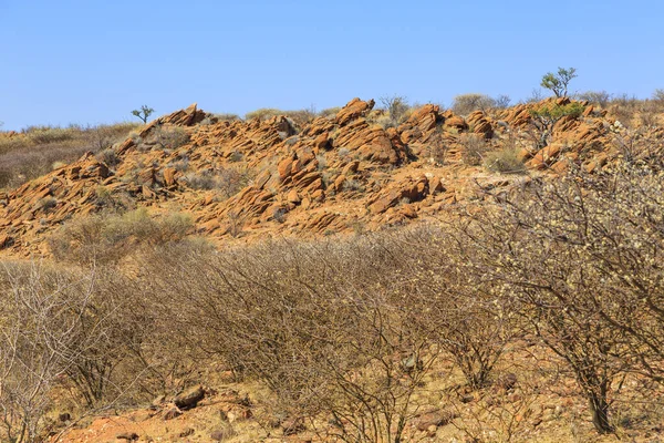 Namibianskt Landskap Afrikansk Savann Varm Dag Röd Mark Oanob Namibia — Stockfoto