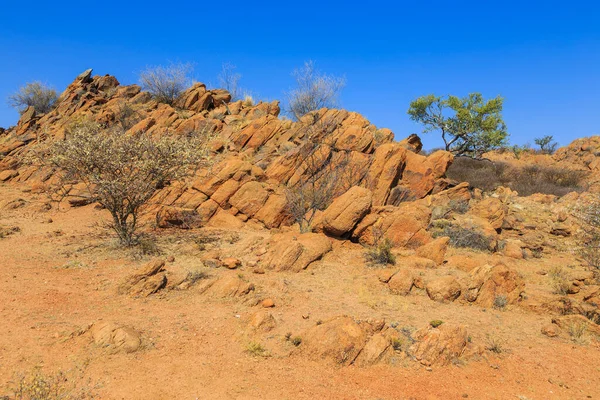 Paisaje Namibio Sabana Africana Durante Día Caluroso Tierra Roja Oanob —  Fotos de Stock