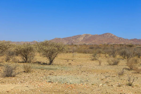 Paisaje Namibio Sabana Africana Durante Día Caluroso Tierra Roja Oanob —  Fotos de Stock