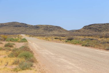 Çakıl yolu boyunca Namibya manzarası. Sarı bölge ve Afrika bitkileri. Tekrar, Namibya.
