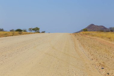 Çakıl yolu boyunca Namibya manzarası. Sarı bölge ve Afrika bitkileri. Tekrar, Namibya.
