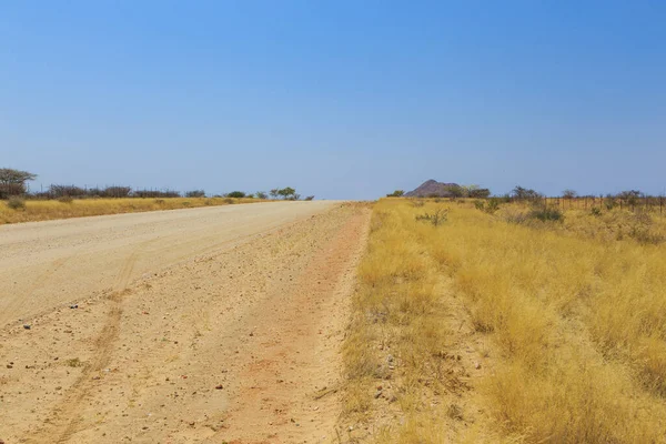 Paysage Namibien Long Route Gravier Sol Jaune Végétation Africaine Autour — Photo