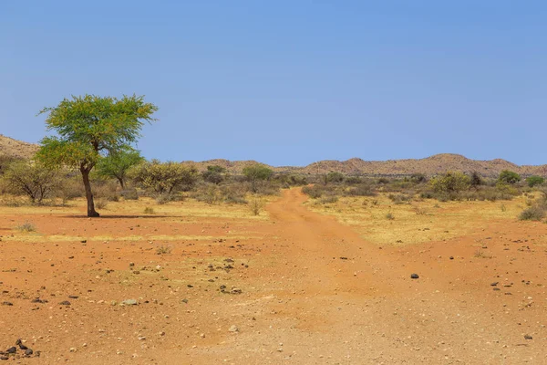 Paesaggio Namibiano Savana Africana Durante Una Giornata Calda Terra Rossa — Foto Stock