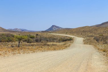 Çakıl yolu boyunca Namibya manzarası. Sarı bölge ve Afrika bitkileri. Khomas, Namibya.