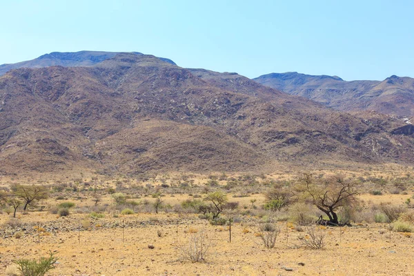 Ναμίμπια Τοπίο Αφρικανική Σαβάνα Μια Ζεστή Μέρα Βουνό Στο Βάθος — Φωτογραφία Αρχείου