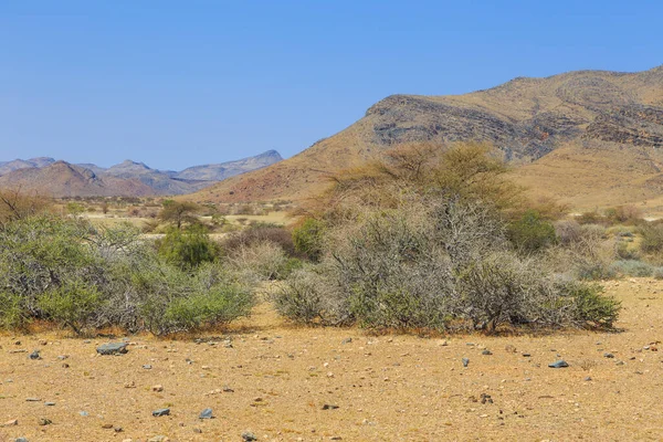 Paesaggio Namibiano Savana Africana Durante Una Giornata Calda Montagna Sullo — Foto Stock